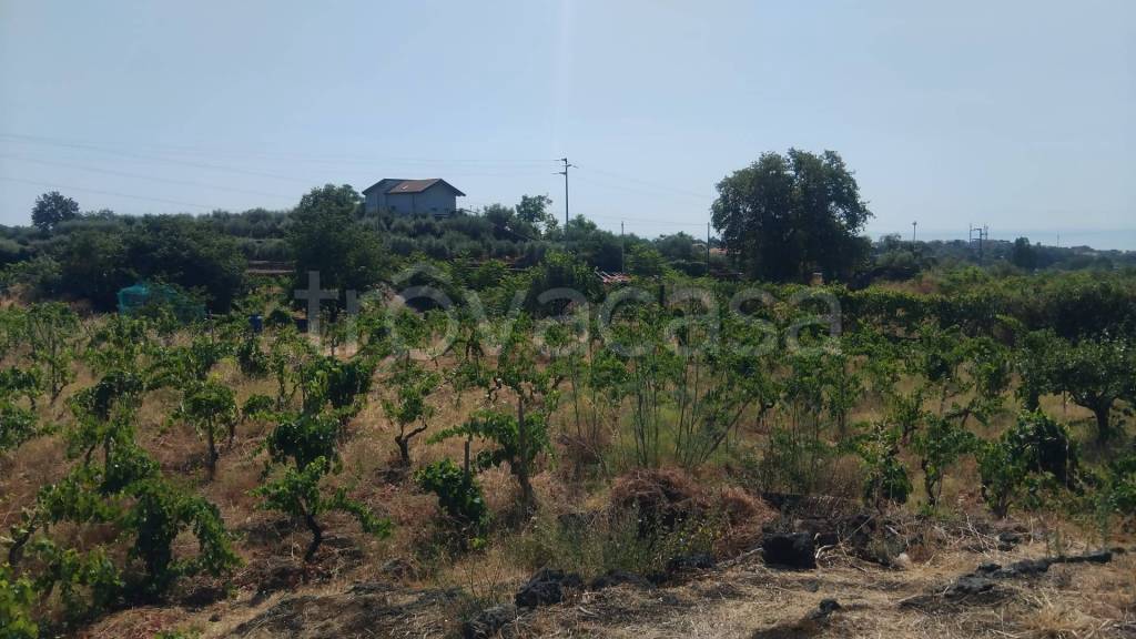 terreno agricolo in vendita ad Aci Sant'Antonio in zona Lavinaio