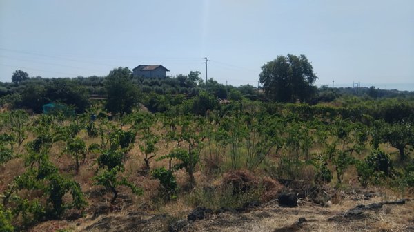 terreno in vendita ad Aci Sant'Antonio in zona Lavina