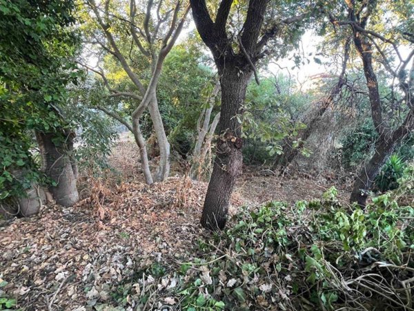 terreno agricolo in vendita ad Aci Sant'Antonio in zona Lavina