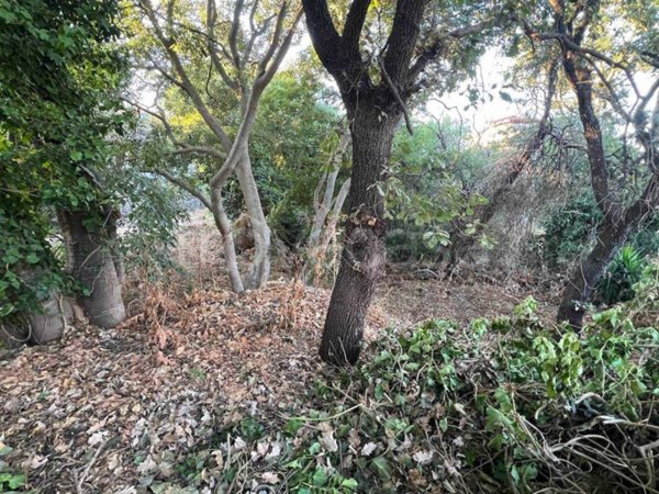 terreno agricolo in vendita ad Aci Sant'Antonio in zona Lavina