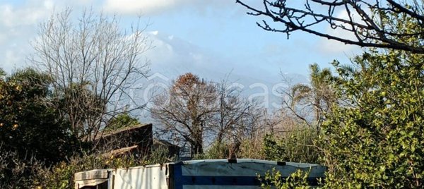 terreno agricolo in vendita ad Aci Sant'Antonio in zona Lavina
