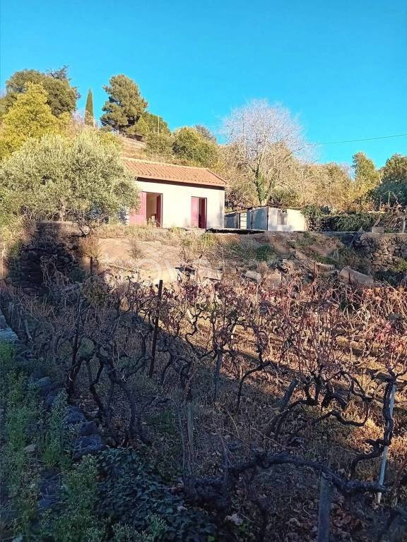 casa indipendente in vendita ad Adrano