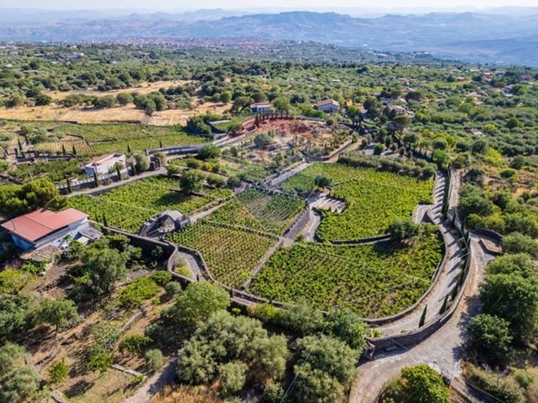 terreno agricolo in vendita ad Adrano