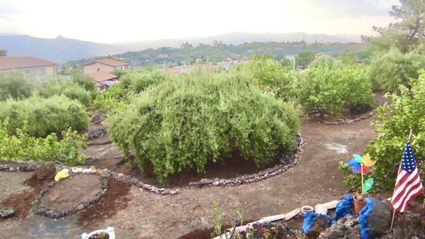 terreno agricolo in vendita ad Adrano