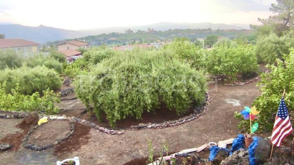 terreno agricolo in vendita ad Adrano