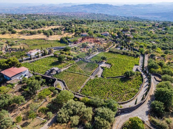 terreno agricolo in vendita ad Adrano