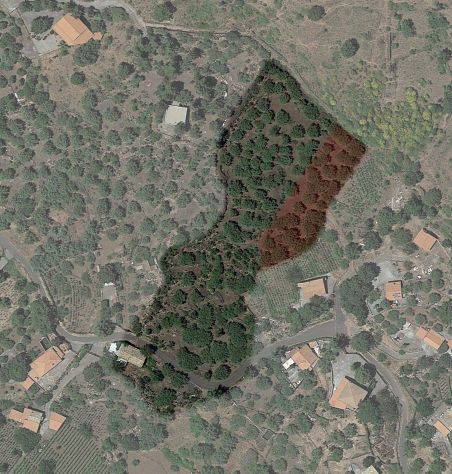 casa indipendente in vendita ad Adrano
