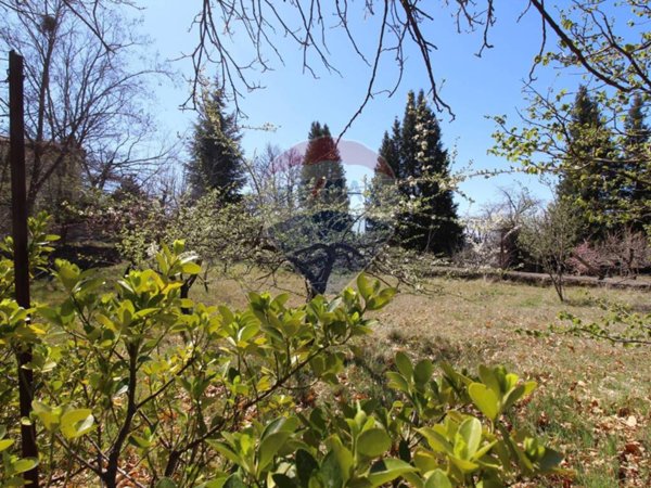 casa indipendente in vendita ad Adrano