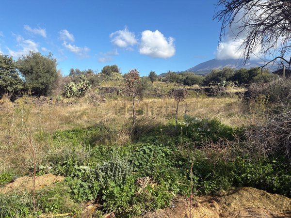 casa indipendente in vendita ad Adrano