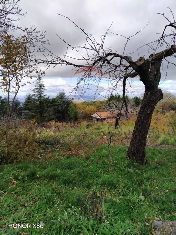 terreno agricolo in vendita ad Adrano