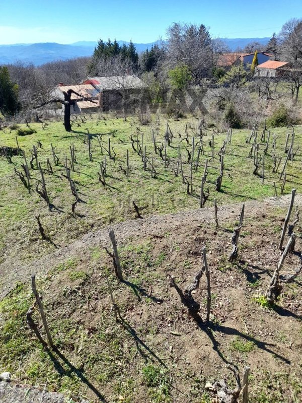 terreno agricolo in vendita ad Adrano