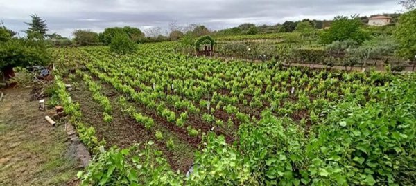 appartamento in vendita ad Adrano