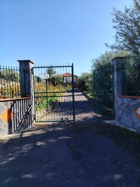 casa indipendente in vendita ad Adrano