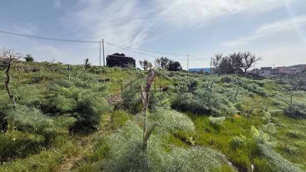 terreno edificabile in vendita ad Adrano