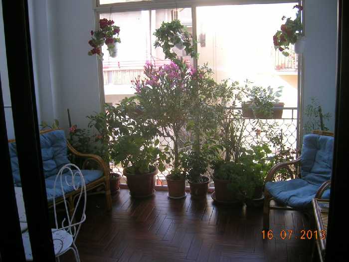 appartamento in vendita ad Adrano