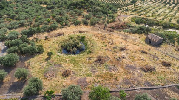 terreno agricolo in vendita ad Adrano