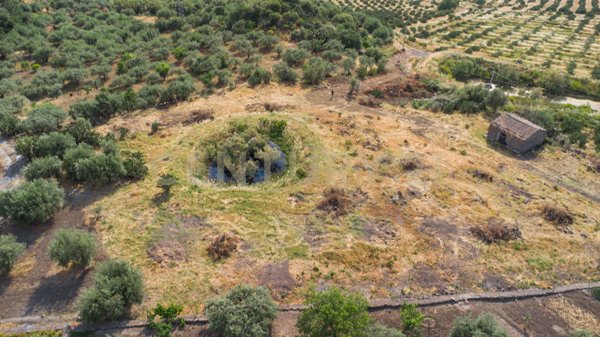 terreno agricolo in vendita ad Adrano