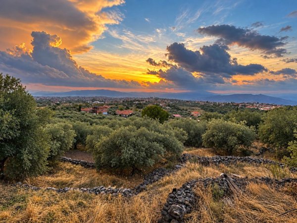 terreno in vendita ad Adrano