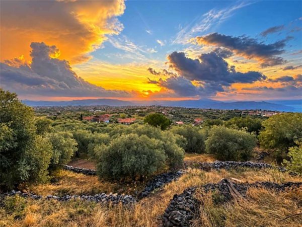 terreno in vendita ad Adrano