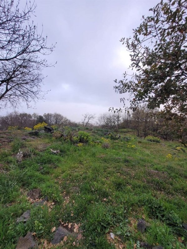 terreno agricolo in vendita a Belpasso