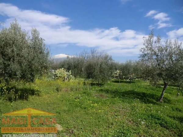 terreno agricolo in vendita a Belpasso