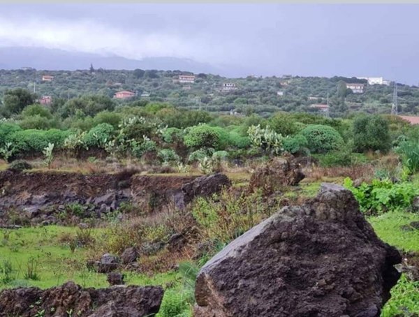 terreno agricolo in vendita a Belpasso