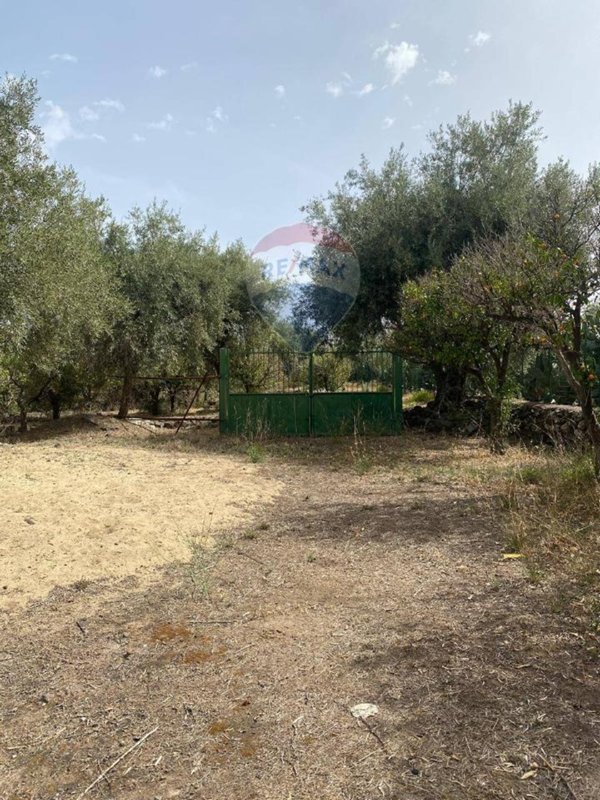 terreno agricolo in vendita a Belpasso