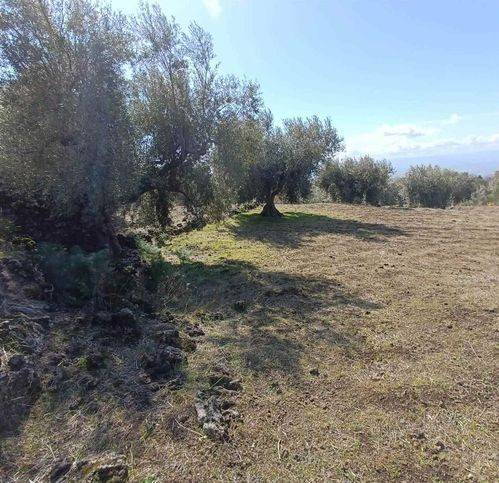 terreno agricolo in vendita a Belpasso