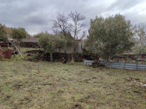 terreno agricolo in vendita a Belpasso