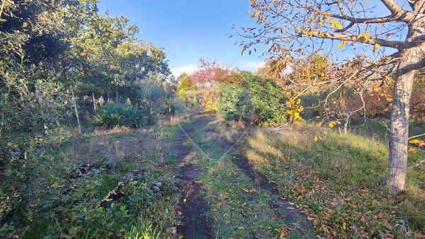 terreno agricolo in vendita a Belpasso