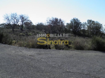 terreno agricolo in vendita a Belpasso