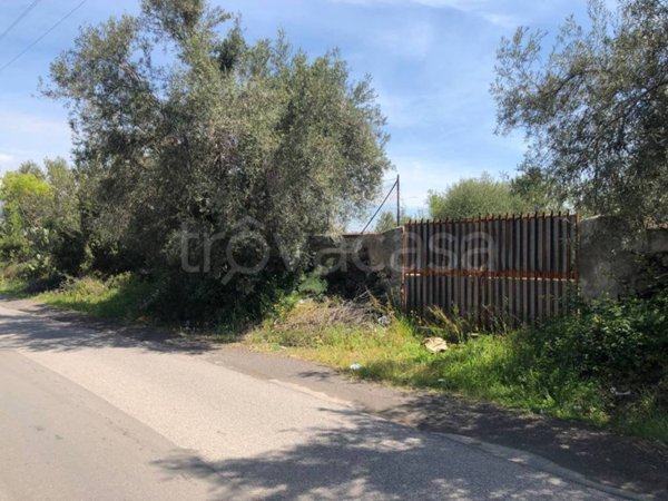 terreno agricolo in vendita a Belpasso
