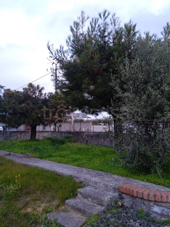 terreno agricolo in vendita a Belpasso