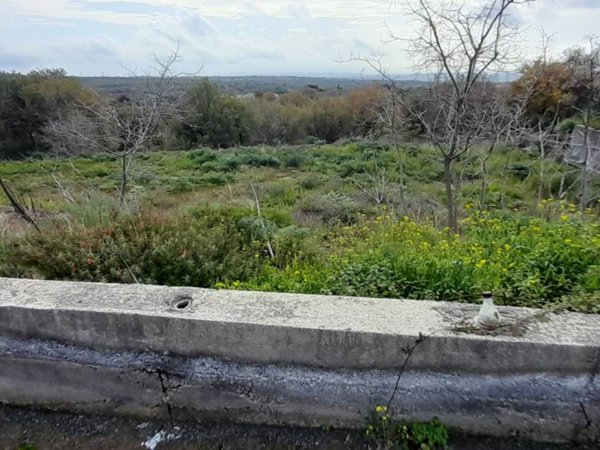 terreno agricolo in vendita a Belpasso