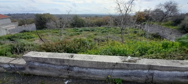 terreno agricolo in vendita a Belpasso