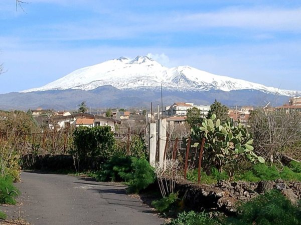 terreno agricolo in vendita a Belpasso