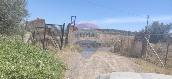 terreno agricolo in vendita a Belpasso