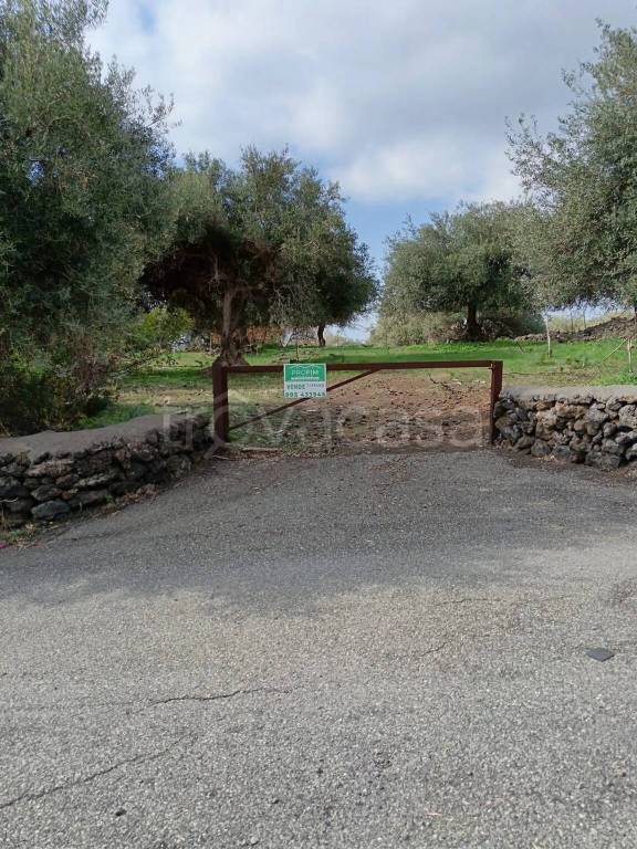 terreno agricolo in vendita a Belpasso