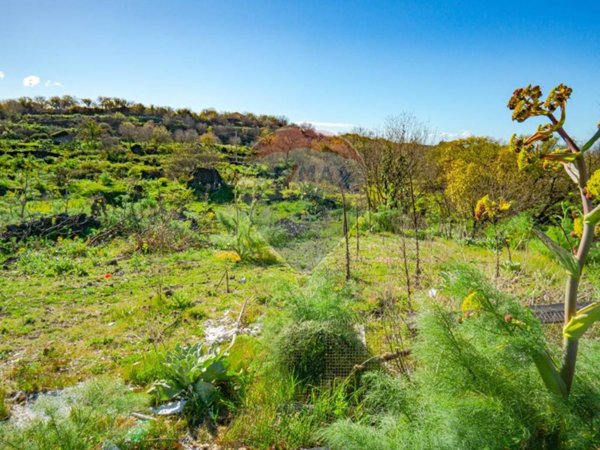 terreno agricolo in vendita a Belpasso