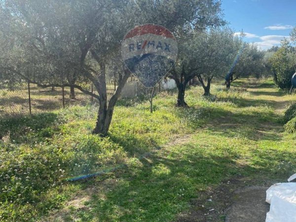 terreno agricolo in vendita a Belpasso