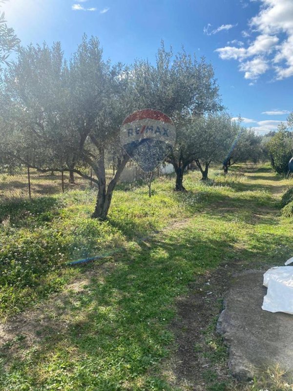 terreno agricolo in vendita a Belpasso