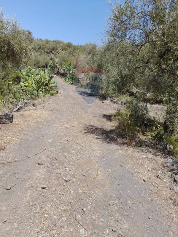 terreno agricolo in vendita a Belpasso
