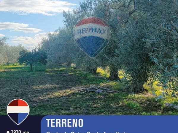 terreno agricolo in vendita a Belpasso
