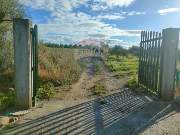 terreno agricolo in vendita a Belpasso