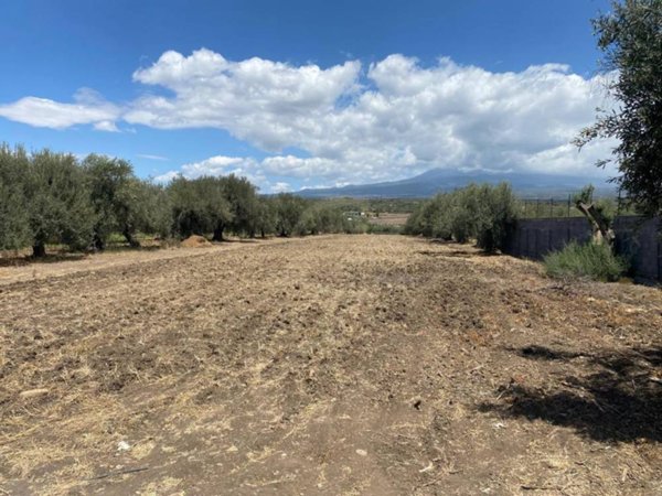 terreno agricolo in vendita a Belpasso