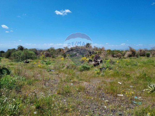 terreno agricolo in vendita a Belpasso