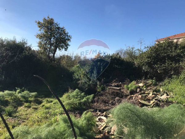 terreno agricolo in vendita a Belpasso