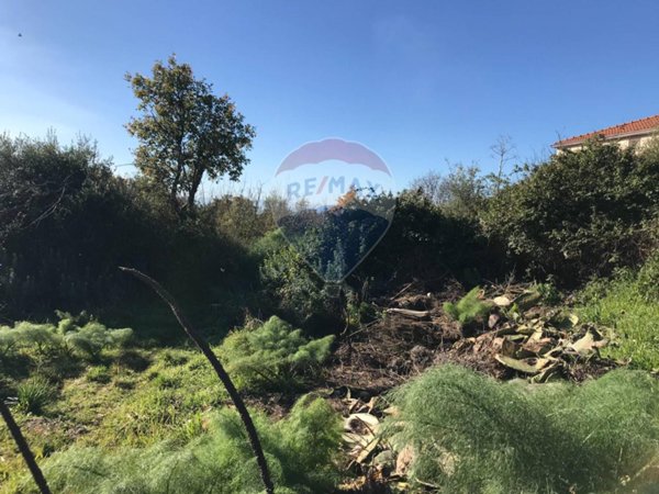 terreno agricolo in vendita a Belpasso