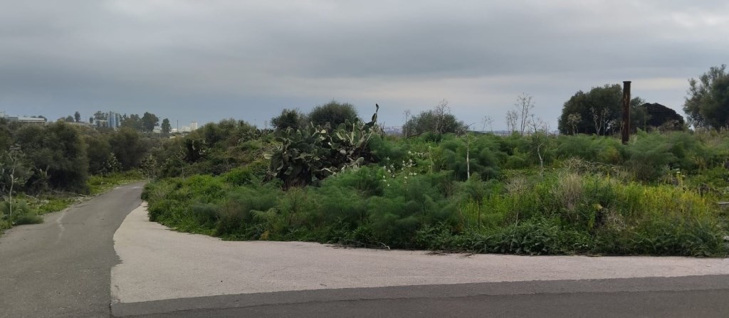 terreno agricolo in vendita a Belpasso in zona Piano Tavola