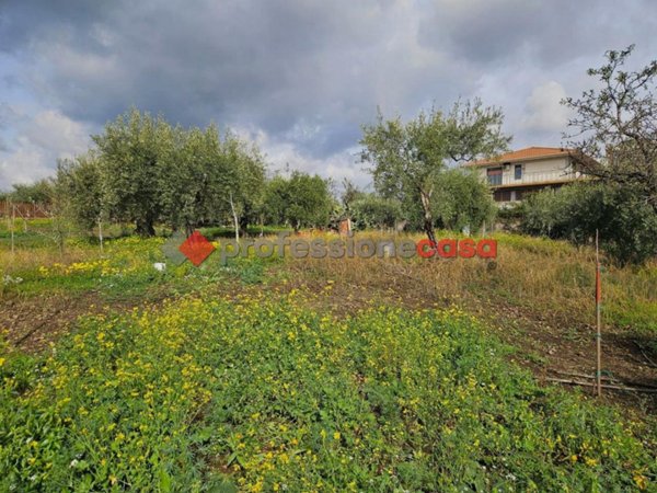 terreno agricolo in vendita a Belpasso